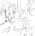 horse_sketches_by_nightspiritwing